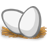 eggs